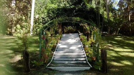 Garden-of-the-Sleeping-Giant-Fiji